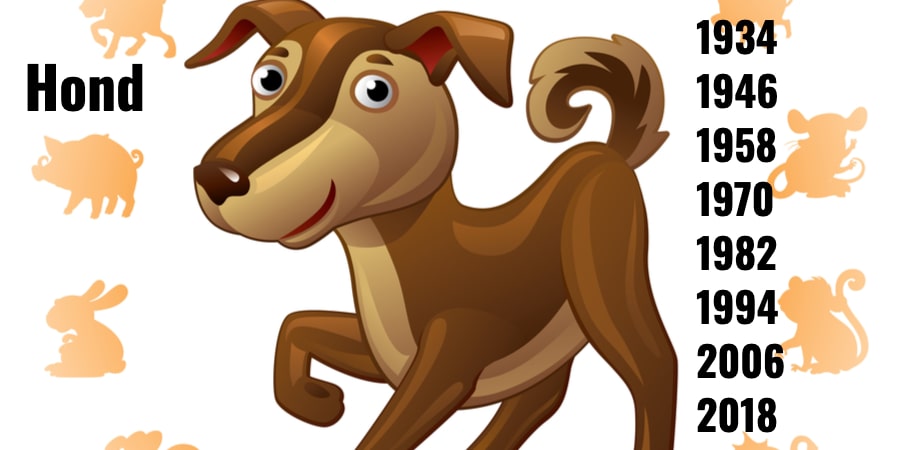 Hond