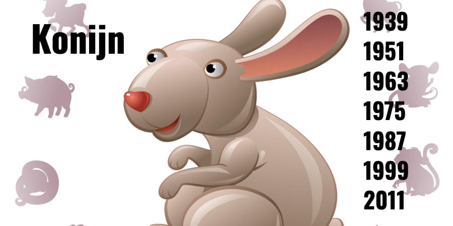Rat