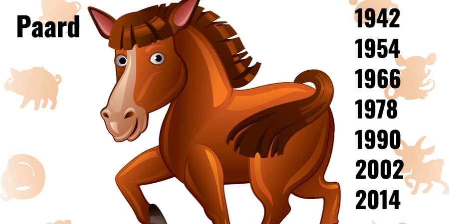 Paard