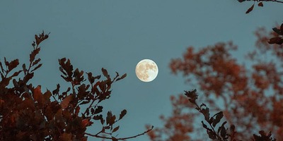 ​1 Augustus 2023 is het Supermaan!