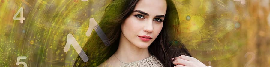 Persoonlijkheidsgetal